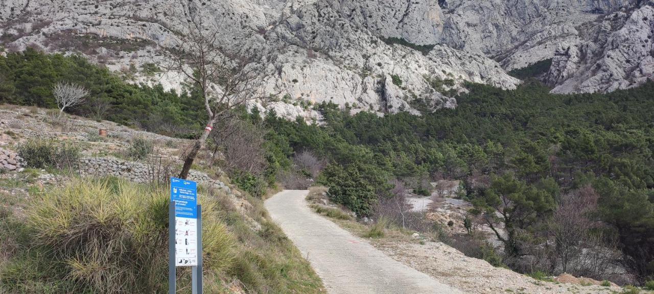 Duje Hébergement de vacances *